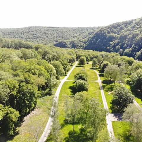 Domaine d'Haulmé - Ardennen - Image N°5