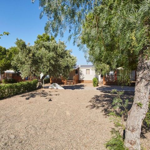 Stellplatz - Komfort 60m²