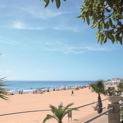 Camping Alannia Costa Dorada - Tarragona - Image N°3