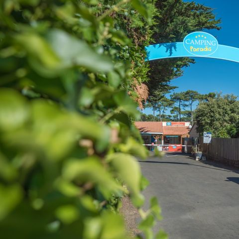 Camping Paradis - La Pomme de Pin - Vendée - Image N°3