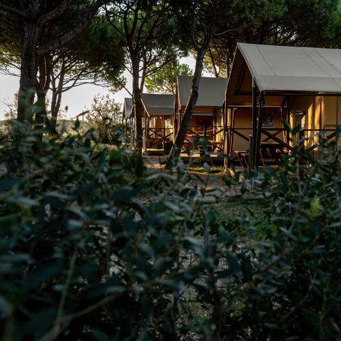 camping - Camping Venedig - Image N°5