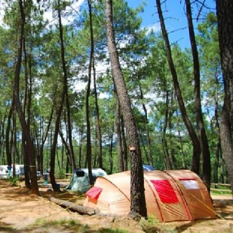 Stellplatz - Stellplatz auf einem Campingplatz