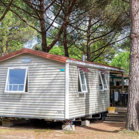 Mobilheim 4 Personen - COTTAGE Pin 4p 2ch ***