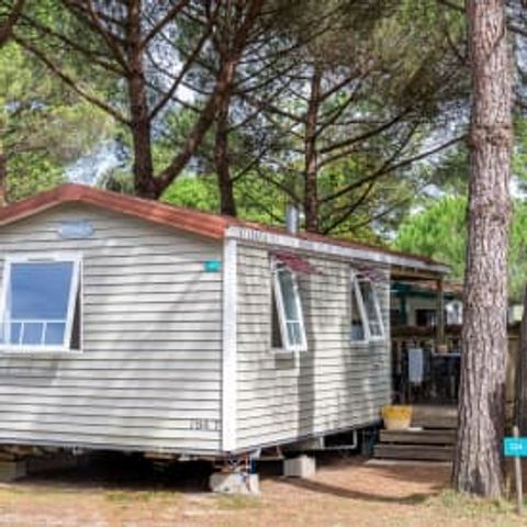 Mobilheim 4 Personen - Cottage Pin 4p 2ch ***
