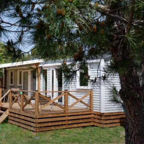 Mobilheim 6 Personen - Cannes