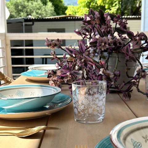 Mobilheim 4 Personen - SENZA VISTA LAGO Lord 50mq PMR