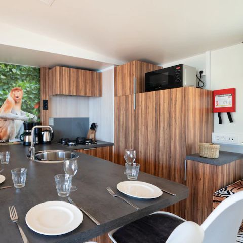 Mobilheim 5 personen - Catalpa