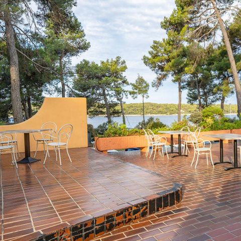Camping Poljana  - Istrien - Image N°5