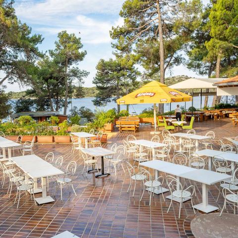 Camping Poljana  - Istrien - Image N°4