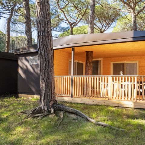 Mobilheim 4 personen - Bungalow Superior