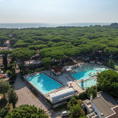 Camping Mare e Pineta - Ferrara - Image N°3
