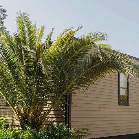 Bungalow 4 personen - CROMA