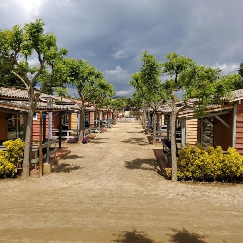 Camping Del Mar - Barcelona - Image N°5