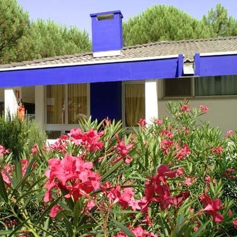 Bungalow 4 Personen - Superior