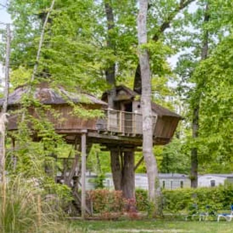 AUßERGEWÖHNLICHE UNTERKUNFT 5 Personen - Baumhaus