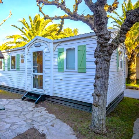 Mobilheim 6 Personen - Cottage Akazie