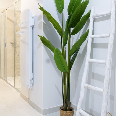 FERIENHAUS 4 Personen - Cardabelle