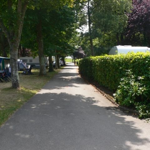 Stellplatz - Stellplatz + Auto + warme Duschen + Strom 15A