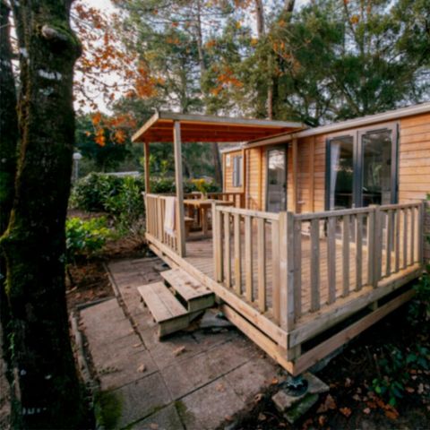 Mobilheim 4 Personen - CALEDONIA 2ch 4pers