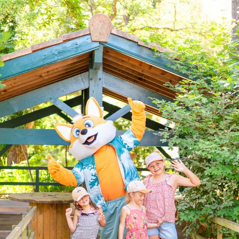 Camping Landae - Landes - Image N°5