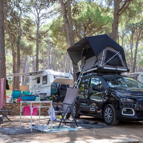 Stellplatz - Standard Basic (45-60m2): Auto + Wohnwagen oder Wohnmobil oder Zelt + Strom
