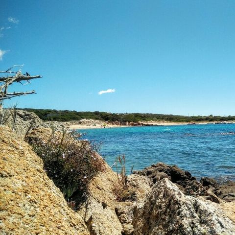 Camping Kevano Plage - Südkorsika - Image N°2