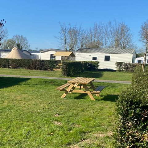 Stellplatz - Privileg-Gartenstellplatz – Stellplatz – mit Stromanschluss und Tisch / max. 5 Personen