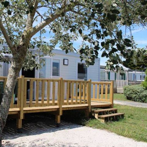 Mobilheim 4 Personen - Classique 2 Zimmer 4 Personen, 32 m² (Modell 2019)