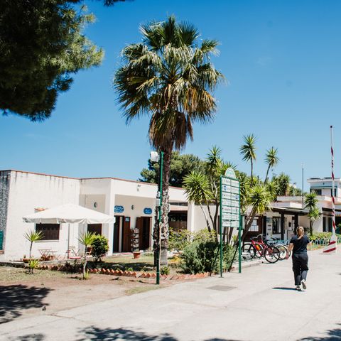 Camping Rais Gerbi - Camping Palermo - Image N°4