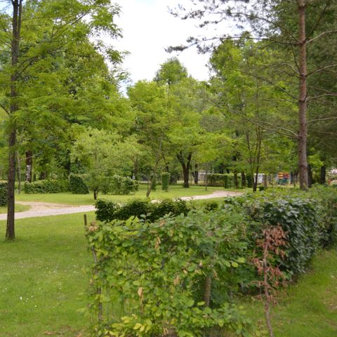 Stellplatz - Komfort
