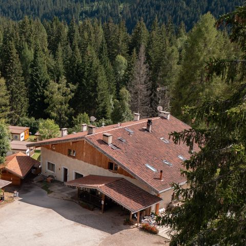 Club del Sole Val di Fiemme Easy Camping Village - Camping Trentino - Image N°5