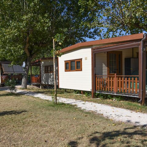 Camping International Riccione - Camping Rimini - Image N°6