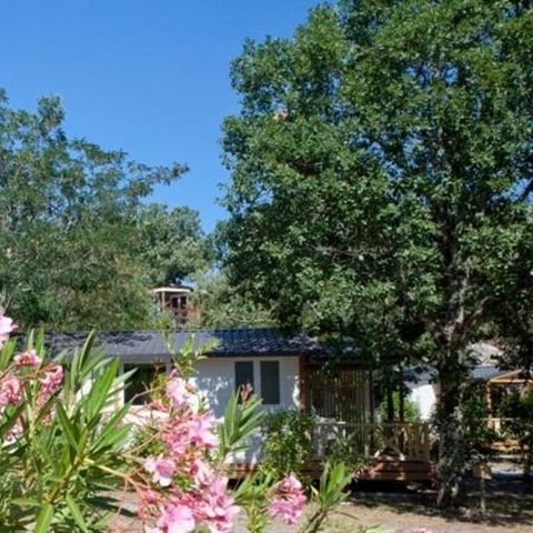 Chalet 5 Personen - KOMFORT KIRSCHE