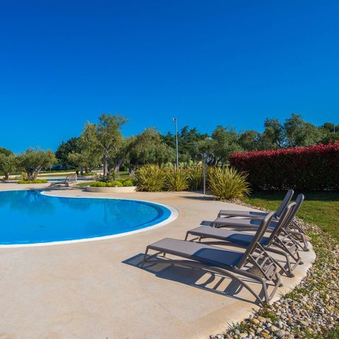 Camping Polari - Istrien - Image N°3