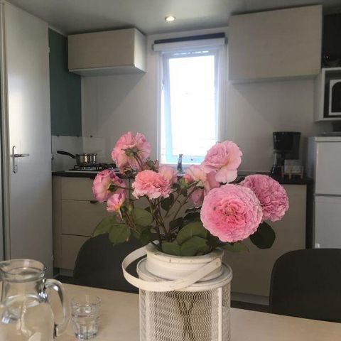 Mobilheim 4 Personen - C- Mobilheim Adria 2 Zimmer