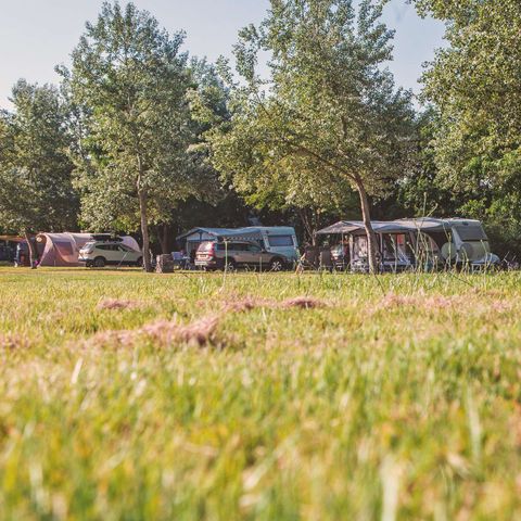 Stellplatz - Standard 160-250m² WOHNWAGEN ODER ZELT