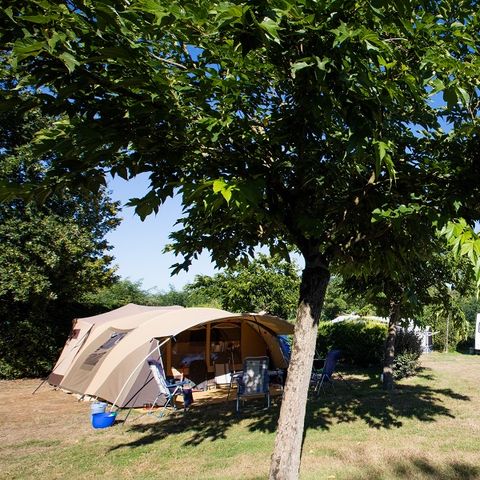 Stellplatz - Standard 100-150m² ZELT