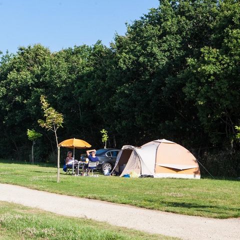 Stellplatz - Standard 100-150m² ZELT
