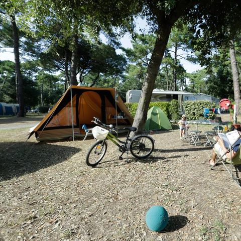 Stellplatz - Forfait Privilège (1 Zelt, Wohnwagen oder Wohnmobil / 1 Auto / Strom 10A) + Wasser- und Abwasseranschluss