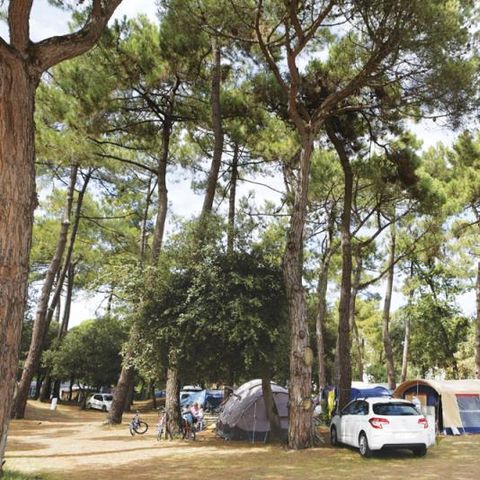 Stellplatz - Forfait Confort (1 Zelt, Wohnwagen oder Wohnmobil / 1 Auto / Strom 10A)