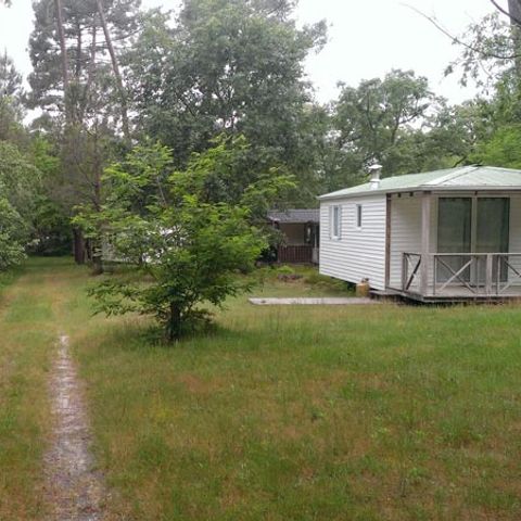 Mobilheim 4 Personen - ECO