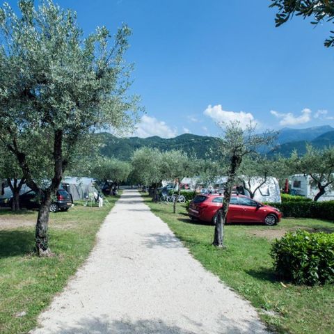 Stellplatz - Standard-Stellplatz - 60m² - 4 AMP