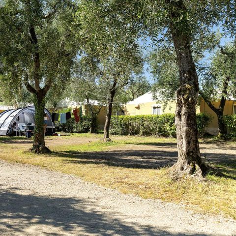 Stellplatz - Standard-Stellplatz - 60m² - 4 AMP