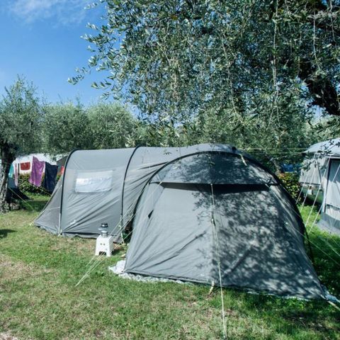 Stellplatz - Standard-Stellplatz - 60m² - 4 AMP