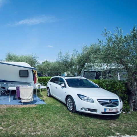 Stellplatz - Stellplatz Komfort Groß - 75m² - 6 AMP