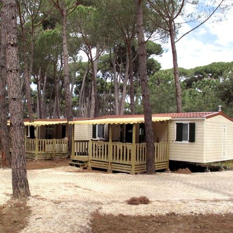 Mobilheim 6 personen - SunLodge Aspen