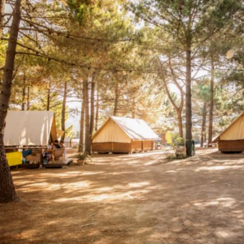 SafariZelt 5 Personen - Lodge-Zelt Ohne Sanitäranlagen - Ankunft am Samstag in der Hochsaison