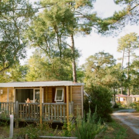 Mobilheim 6 Personen - COTTAGE PREMIUM PP 3 Zimmer 6 Pers.