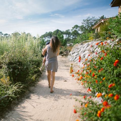Naturéo Éco Resort - Landes - Image N°6