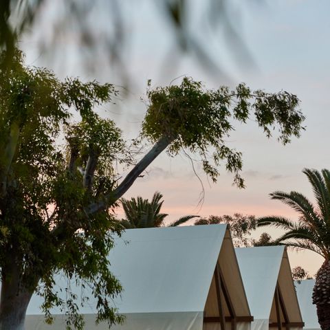Safarizelt 2 Personen - Glamping Cabin-Tent Senyoret